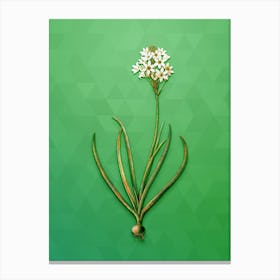 Vintage Arabian Starflower Botanical Art on Classic Green n.0961 Canvas Print
