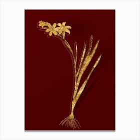 Vintage Gladiolus Botanical in Gold on Red n.0233 Canvas Print