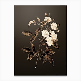 Gold Botanical Lady Banks' Rose on Chocolate Brown n.3972 Canvas Print