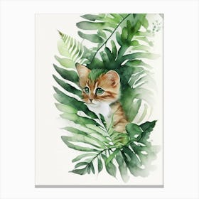 Kitten S Paw Fern Watercolour Canvas Print