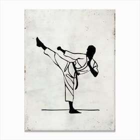 Karate Kick 2 Canvas Print