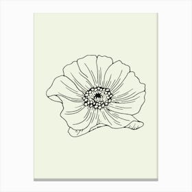 Anemone Flower Canvas Print