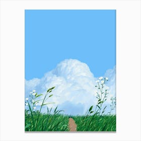 Path In The Grass Canvas Print