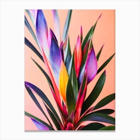 Bromeliad Colourful Illustration Plant Canvas Print