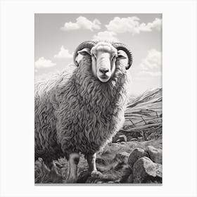 Black & White Illustration Of Highland Sheep With Rocky Landscape Canvas Print