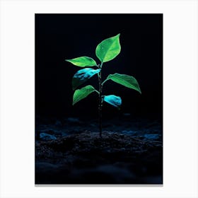 Tree In The Dark 15 Canvas Print