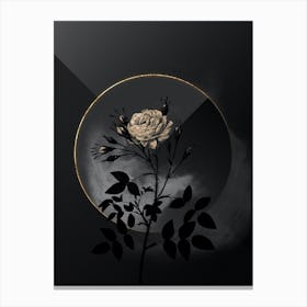 Shadowy Vintage White Rose of Rosenberg Botanical in Black and Gold Canvas Print