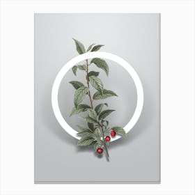 Vintage Cherry Minimalist Flower Geometric Circle on Soft Gray n.0165 Canvas Print