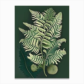 Sensitive Fern Wildflower Vintage Botanical 2 Canvas Print