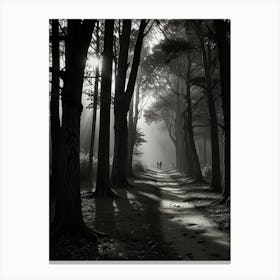 Dark Forest Path Canvas Print