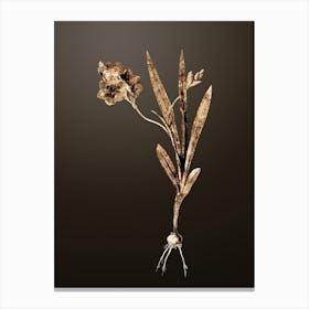 Gold Botanical Ixia Miniata on Chocolate Brown n.2373 Canvas Print