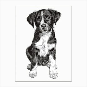 Entlebucher Mountain Dog Line Sketch 3 Canvas Print