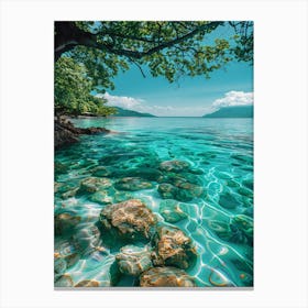 Clear Water Canvas Print