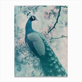 Vintage Floral Peacock Cyanotype Inspired 2 Canvas Print