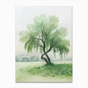 Willow Tree Atmospheric Watercolour Painting 6 Canvas Print