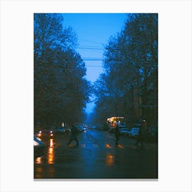 Blue winter 1 Canvas Print