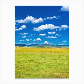 Grassy Meadow With Blue Sky Canvas Print