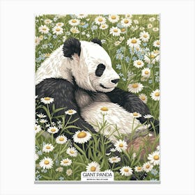 Giant Panda Resting In A Field Of Daisies Poster 1 Canvas Print