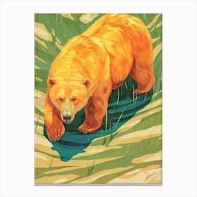 Grizzly Bear 4 Canvas Print