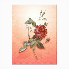 Blood Red Bengal Rose Vintage Botanical in Peach Fuzz Asanoha Star Pattern n.0309 Canvas Print
