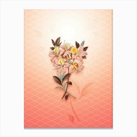 Changeable Pontic Azalea Vintage Botanical in Peach Fuzz Hishi Diamond Pattern n.0296 Canvas Print