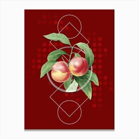 Vintage Peach Botanical with Geometric Line Motif and Dot Pattern n.0283 Canvas Print