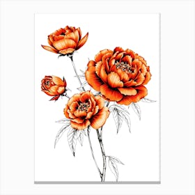 Orange Peony Canvas Print