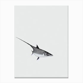 Sailfish Black & White Drawing Canvas Print