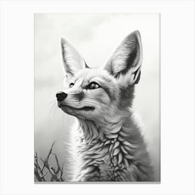 Tibetan Sand Fox Portrait Pencil Drawing 3 Canvas Print