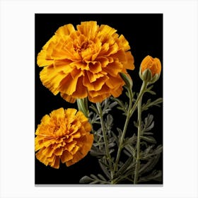 Carnations 9 Canvas Print