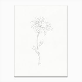 Daisy Pencil Drawing 2 Canvas Print