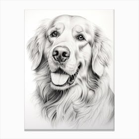 Golden Retriever Dog, Line Drawing 2 Canvas Print