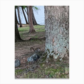 Squirrel At The Lake Canvas Print