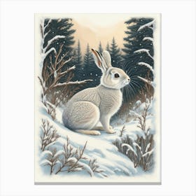 Arctic Hare 1 Canvas Print