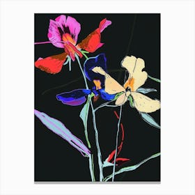 Neon Flowers On Black Sweet Pea 3 Canvas Print