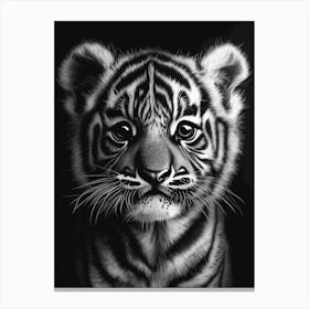 Tiger Cub Canvas Print