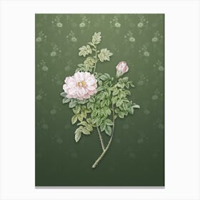 Vintage Ventenat's Rose Botanical on Lunar Green Pattern n.1040 Canvas Print