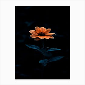 Dark Flower Canvas Print