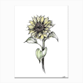 Watercolour Sunflower Left Canvas Print