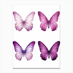 Butterfly Set 5 Canvas Print