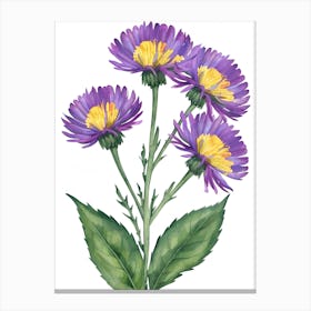 Watercolor Chrysanthemum Flower Canvas Print