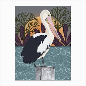 Abstract Pelican Canvas Print