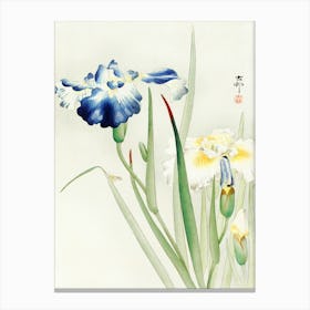 Irises (1900 1936), Ohara Koson Canvas Print