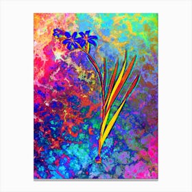Gladiolus Botanical in Acid Neon Pink Green and Blue n.0334 Canvas Print