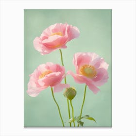 Pink Roses Flowers Acrylic Painting In Pastel Colours 11 Canvas Print