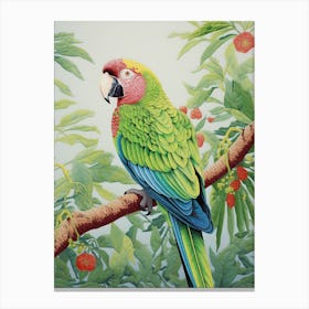 Ohara Koson Inspired Bird Painting Macaw 1 Canvas Print