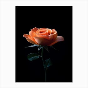 Orange Rose 3 Canvas Print