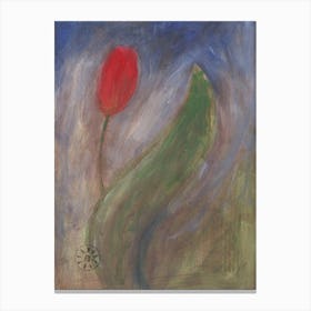 Tulip Canvas Print