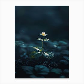 Flower In The Dark 60 Canvas Print