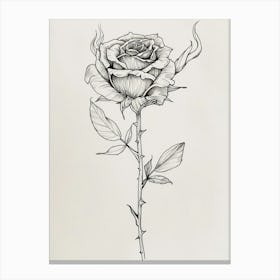 English Rose Burning Line Drawing 2 Canvas Print